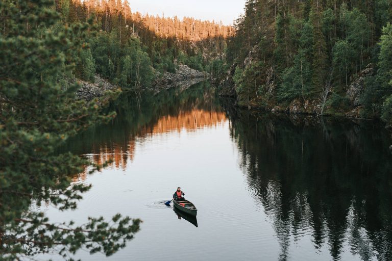 A person canoeing on a Finnish lake surrounded by a pine tree forest.