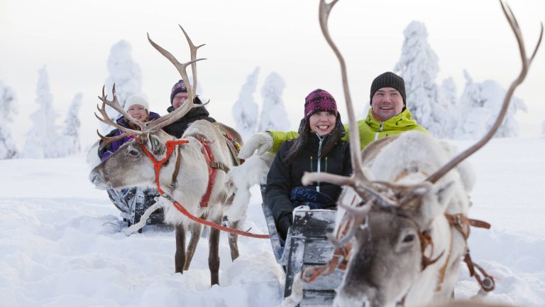 Four people on a reindeer sleigh on a wintery day