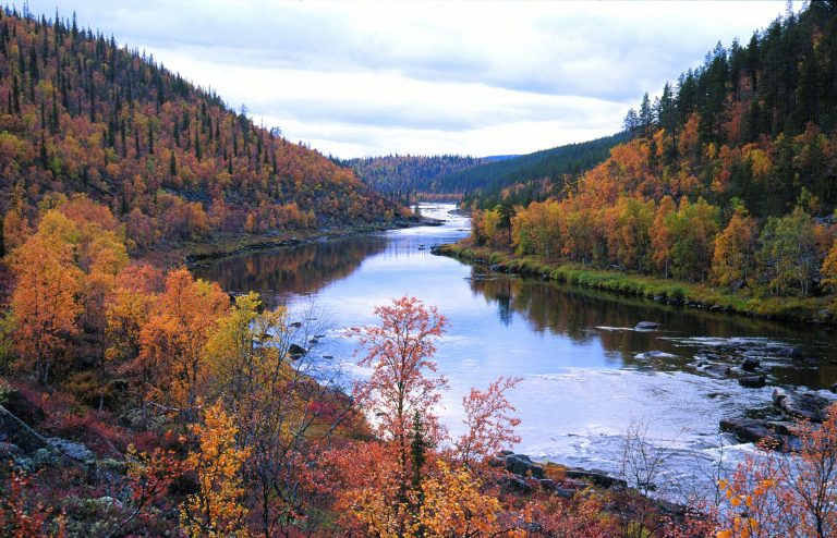 View of a calm river during autumn season