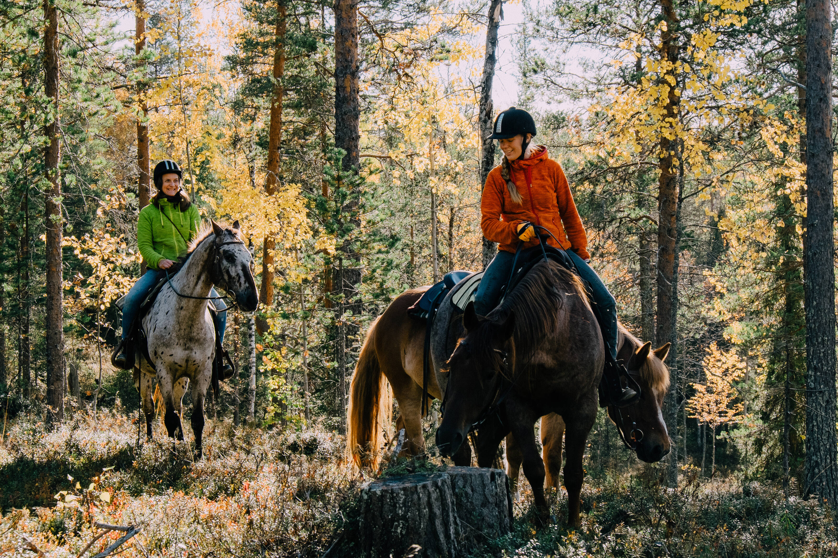 Two people ride through a Finnish forest on horseback.
