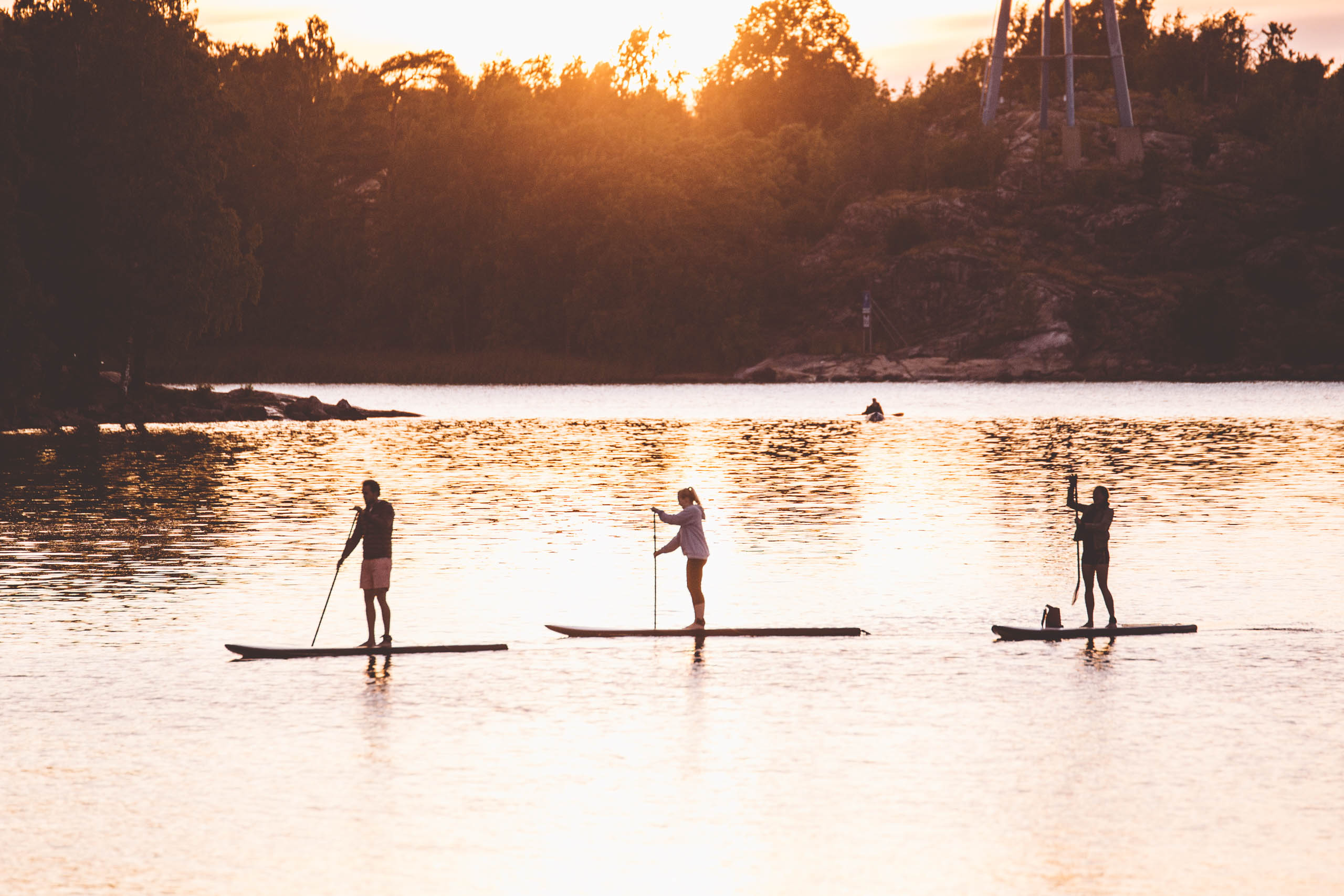 Three standup paddleboarders float in a line across a lake at sunset.