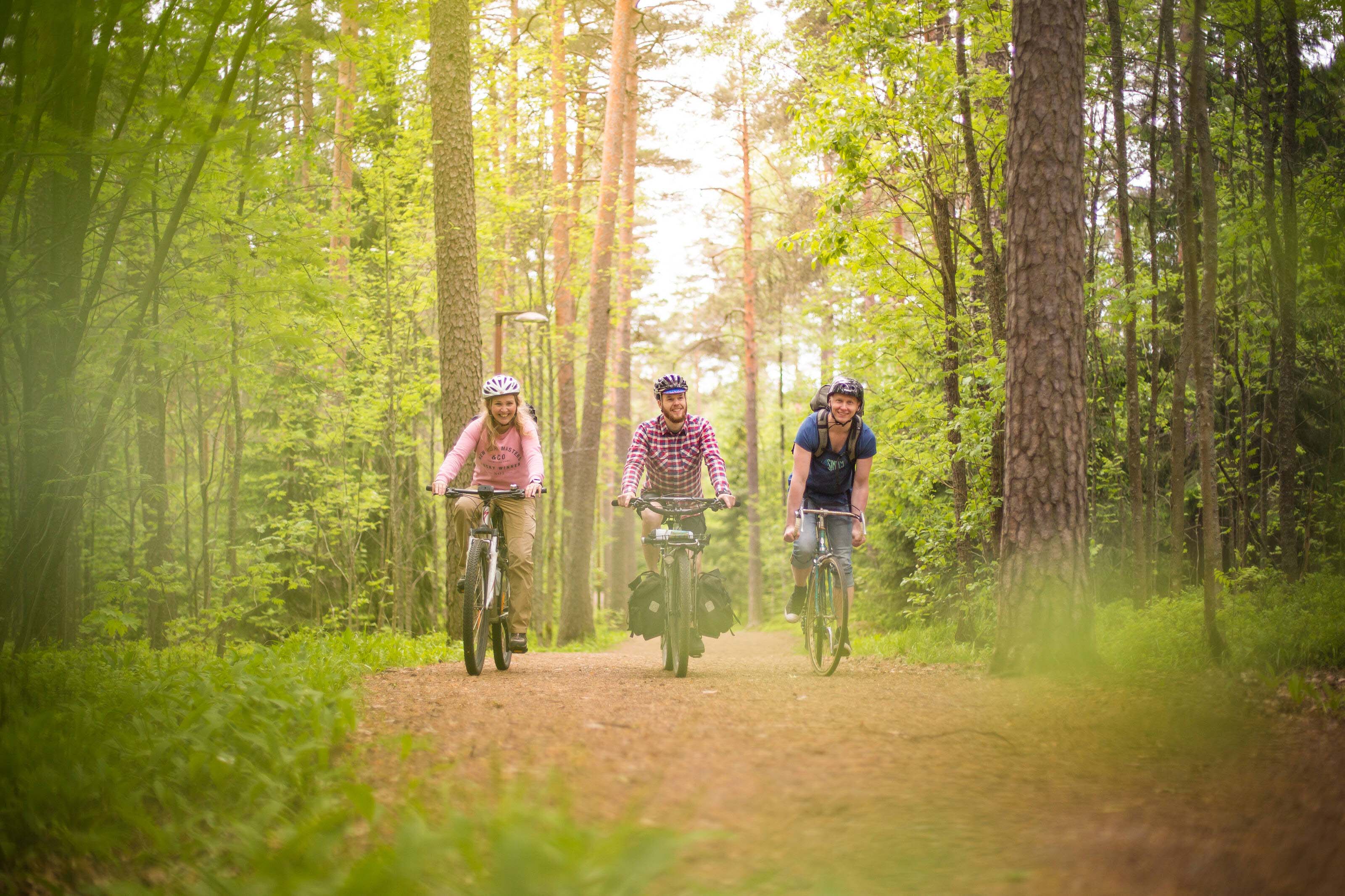Three people on bikes ride toward the camera on a wooded trail.