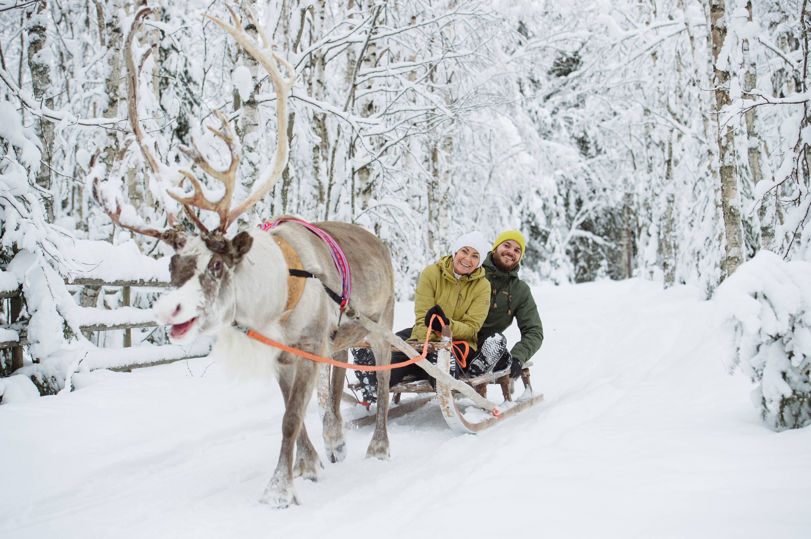 Two people riding a sleigh pulled by a reindeer