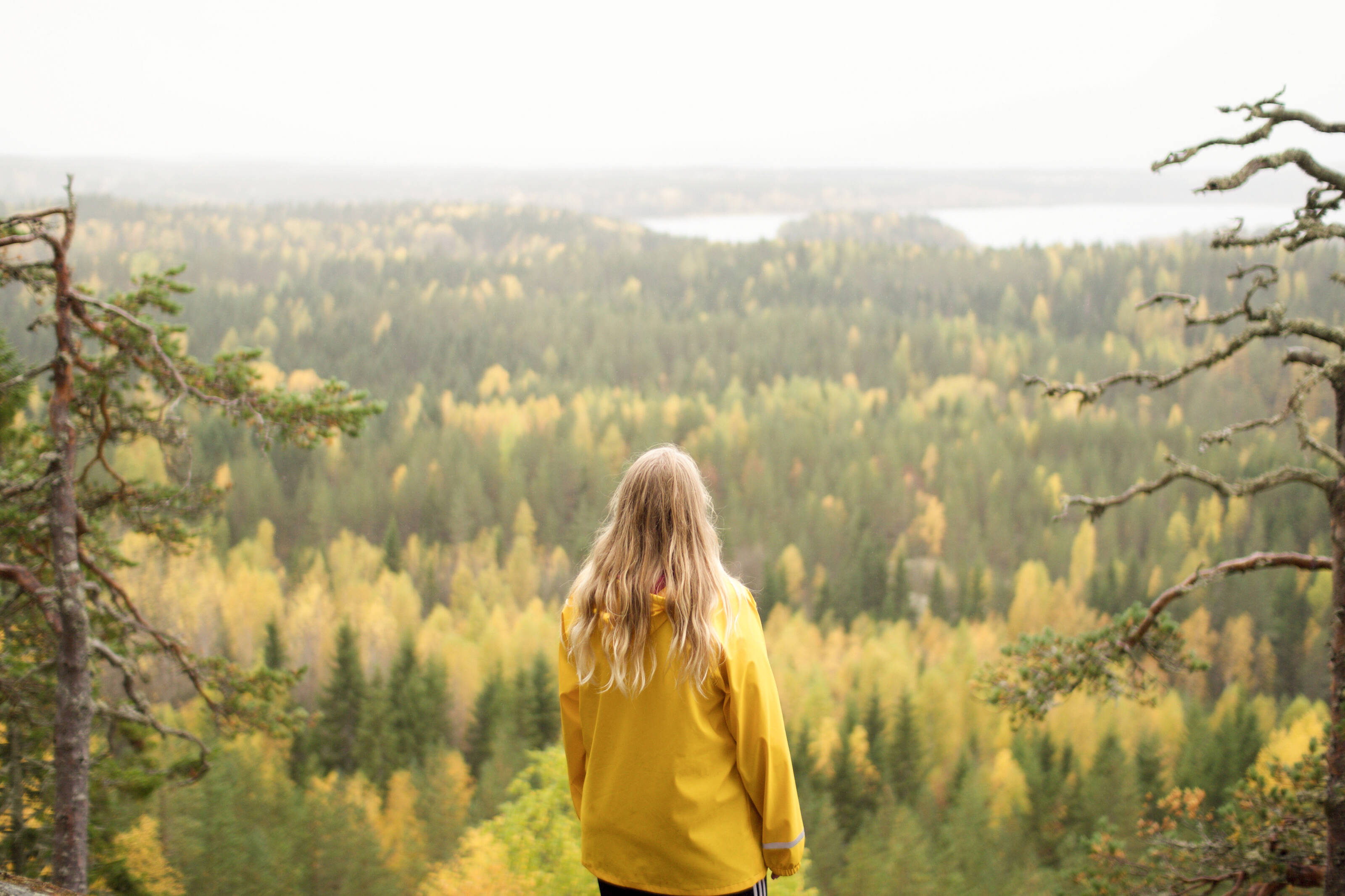 A woman in a yellow raincoat overlooking a green and yellow coloured forest from the top of a mountain