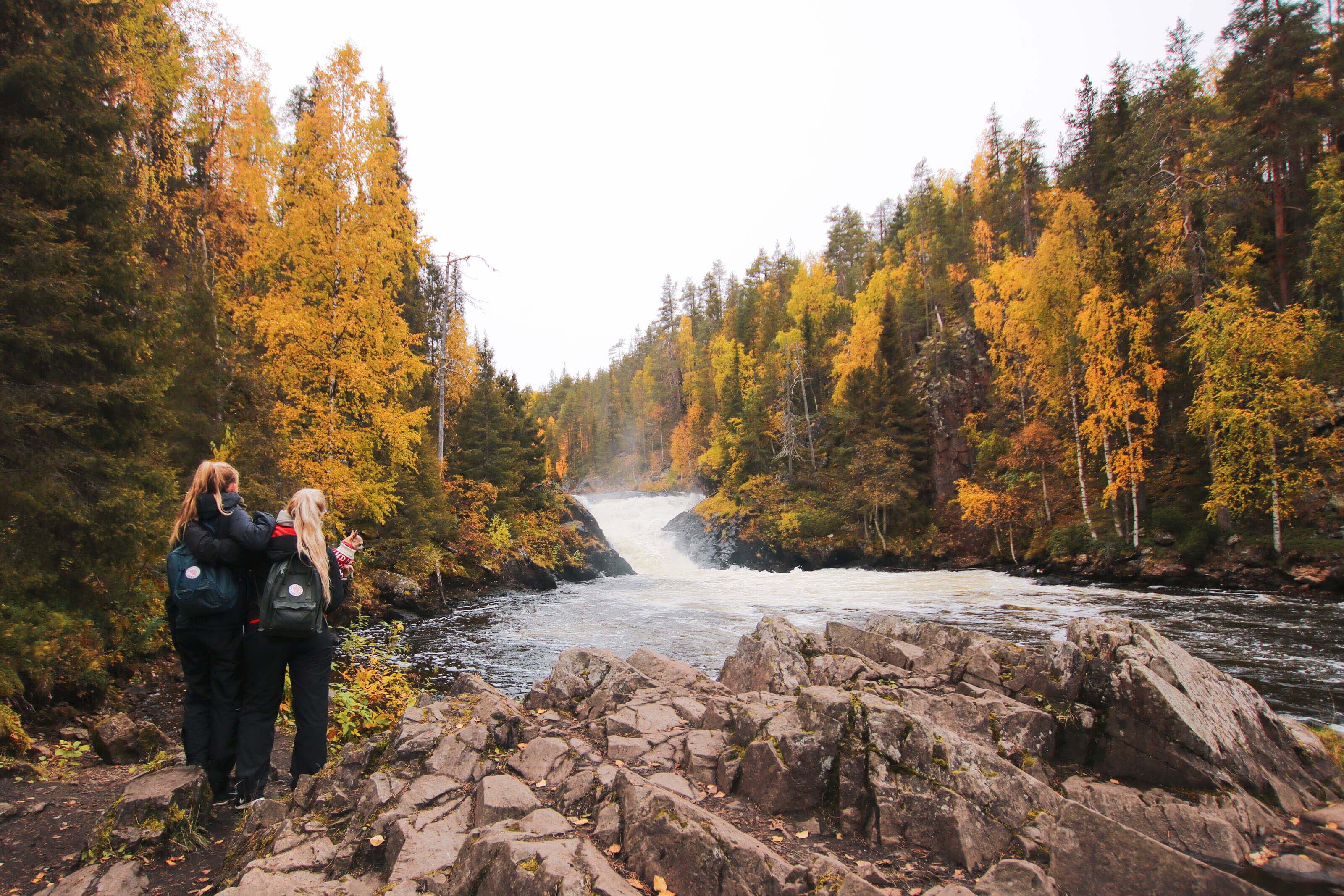 Two people and a dog hiking during the autumn foliage in Kuusamo, Finland.