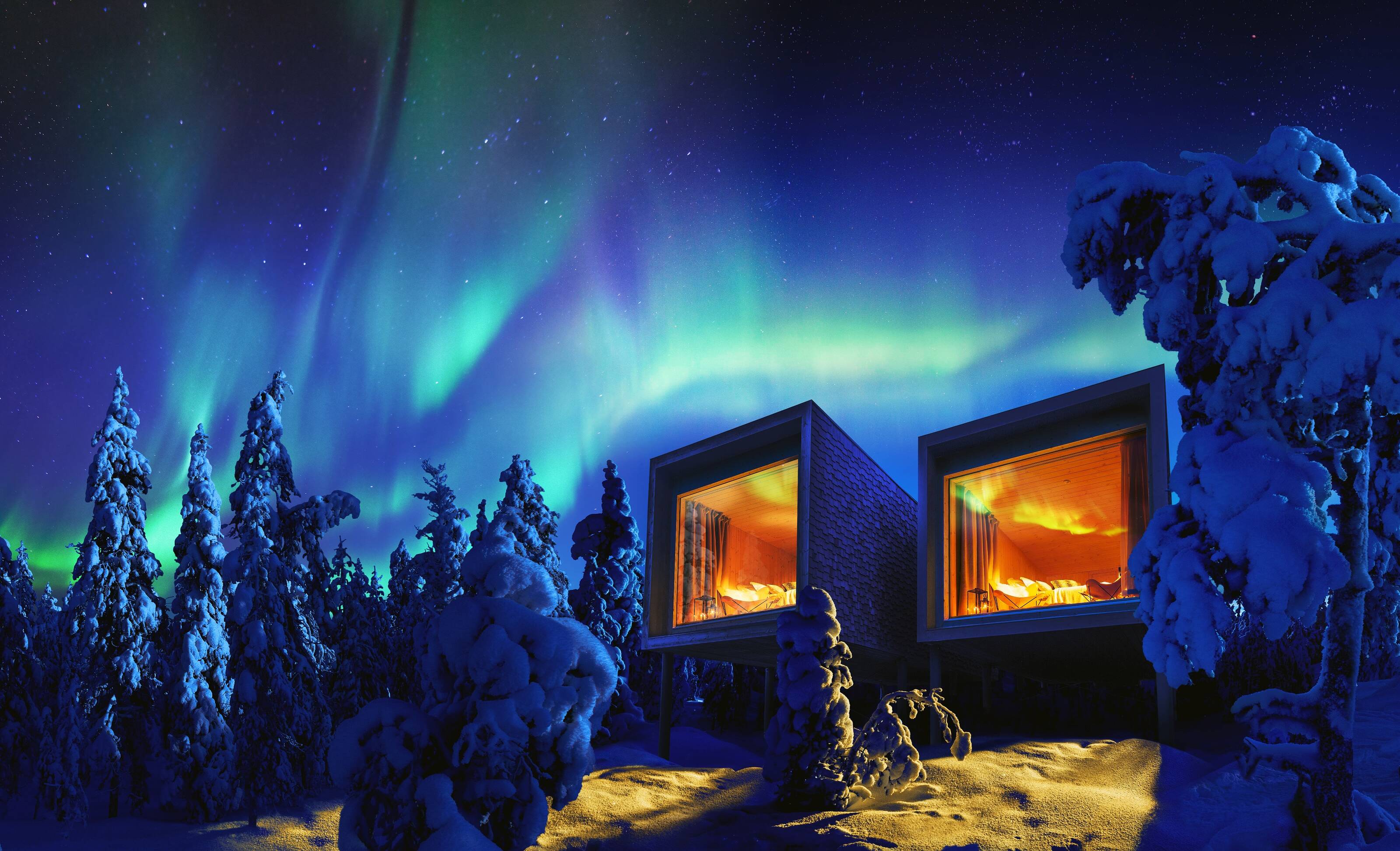 Arctic tree house in Lapland with northern lights visible.
